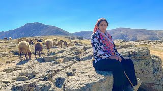 IRAN nomadic life  daily routine village life of Iran  Nomadic lifestyle of Iran [upl. by Aihsinyt]