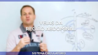 Veias da região abdominal [upl. by Rhyne840]