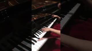 Liszt Totentanz w Valentina Lisitsa 22 [upl. by Arres]