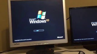 Windows XP booting on an AMD Athlon 64 3200 [upl. by Alaham]