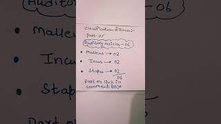 Auditory ossicles  malleus incus  stapes  classification of bones skeleton system [upl. by Fagin]