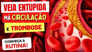 RUTINA contra VEIAS ENTUPIDAS COÁGULOS MÁ CIRCULAÇÃO e TROMBOSE  Veja ISSO [upl. by Nash]