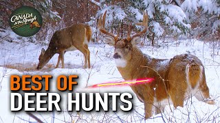 25 Deer Hunts Under 15 Minutes ULTIMATE Deer Hunting Compilation  BEST OF [upl. by Eidissac]