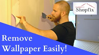 How to Remove Wallpaper Easily Without Special Tools [upl. by Samy980]