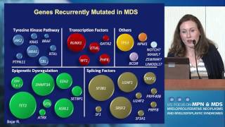 An Approach to Diagnosis and Staging of MDS From Morphology to Genetics [upl. by Lorenza]