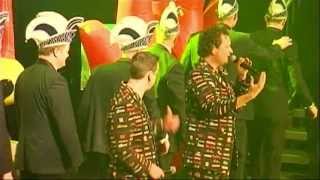 Het Feestteam medley carnaval vaassen 2013 [upl. by Nawed645]