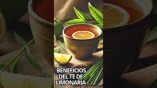 Descubre los Beneficios del Té de Limonaria Zacate Limón para tu Salud 🌿🍵 [upl. by Stine]