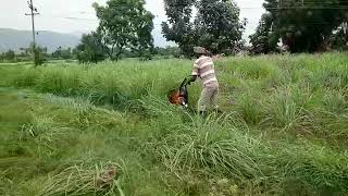 Lemon grass cutting machine  Sri Vinayaka agro service chandragiridasar streetpH9052263393 [upl. by Sethrida]