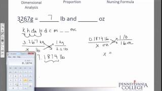 Simple Unit Conversions 9 grams to lb and oz [upl. by Aimee]