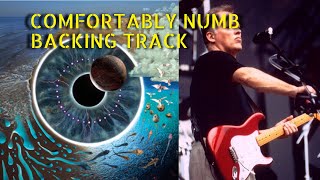 Comfortably Numb  PULSE  Backing Track Last Solo With Audience [upl. by Alletse816]