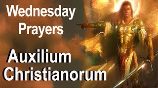 Auxilium Christianorum  Wednesday Deliverance Prayers for Use by the Laity Fr Chad Ripperger Video [upl. by Compton]