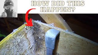 ROOF LEAKS  How to find them from your attic [upl. by Lednor]