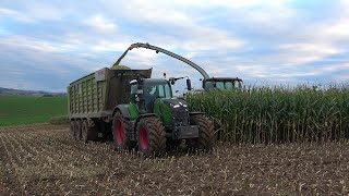 Mais 2024 LU Norbert Mäser Claas Jaguar 970 mit verschiedenen Abfahrern in der Wetterau [upl. by Minna]