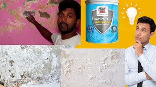 Damp Proof  Damp Stop  Damp Solution  Damp Block [upl. by Allys]