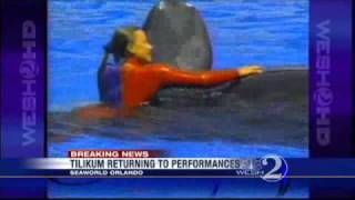 Whale That Killed Trainer Returning To SeaWorld Shows [upl. by Ofloda]