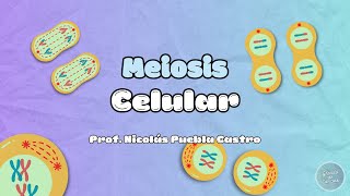 Meiosis en 5 minutos [upl. by Fording]