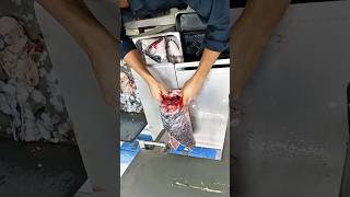 Super chatla fish fillet cutting skills nice cutting skills video shorts fishlaver [upl. by Orly864]