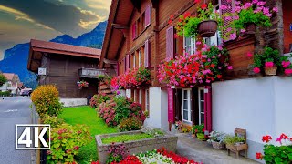 Wilderswill Switzerland 🇨🇭 a beautiful village in the Bernese Oberland [upl. by Glarum]