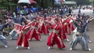 東京よさこい なな丸隊 「向日葵」／イチョウ並木パレード会場Ⅱ／第8回よさこい祭り in 光が丘2014（二日目） [upl. by Camilo]