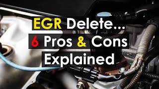 EGR Delete Or Blocking  Pros And Cons Best Explained [upl. by Keslie]