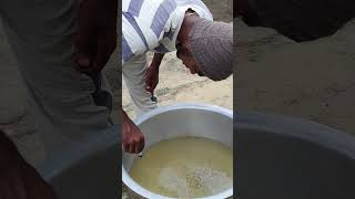 Extracting salt from sea wateryoutubeshorts [upl. by Emmaline]