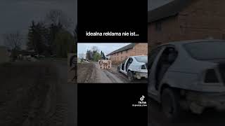 dc automobile poland fishing ebike mtb troutfishing ptasznik trout mushroom [upl. by Vullo442]