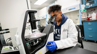 CURE Summer Fellowship provides undergrads opportunity to enhance research skills [upl. by Claude]