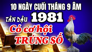 Bùng nổ may mắn Tân Dậu 1981 đón thần tài cơ hội trúng số trong 10 ngày cuối tháng 9 âm này [upl. by Ymarej445]