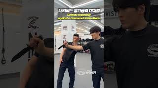 내려찍는 흉기공격 대처법Knife Defense technique kravmaga 크라브마가 mma ikma selfdefense [upl. by Lona]