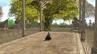 Lineage 2 Elven Village centre tree with music [upl. by Summers]