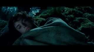 Fellowship of the Ring  Extended Edition  The crossing of Midgewater HD [upl. by Spiegelman383]