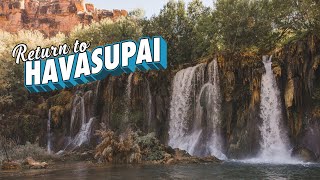 INCREDIBLE Waterfalls at Havasupai  Havasu Falls  Descending Mooney Falls [upl. by Ardnahc774]