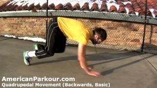 Quadrupedal Movement Backwards Basic  Parkour Training and Conditioning Exercise [upl. by Asital]