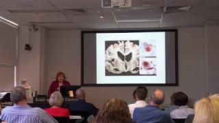 AProf Rebekah Ahmed  Diagnosis and clinical progression in Frontotemporal Dementia FTD [upl. by Barnabas]