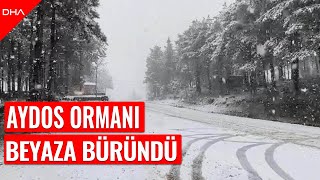 Aydos Ormanında kar yağışı etkili oldu [upl. by Pudens]