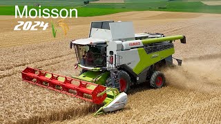 Moisson 2024  HARVEST 2024  CLAAS LEXION 6700  FENDT 824  JOHN DEERE 6250R  BENNES MAUPU [upl. by So]