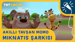 Akıllı Tavşan Momo  Mıknatıs Şarkısı [upl. by Onilatac509]