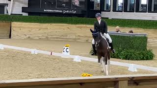 2023 Sport Horse Nationals 13 [upl. by Adnahcir677]