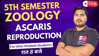 Lt16 Reproduction In Ascaris  5th Semester Zoology Paper  01  Sumit Rana Sir [upl. by Arretal]