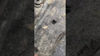 How to fix crack or hole in a plastic gas tank diy dirtbike [upl. by Gunzburg771]