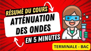 Cours Atténuation des ondes  Essentiel en 5 minutes  Terminale  BAC [upl. by Rind]