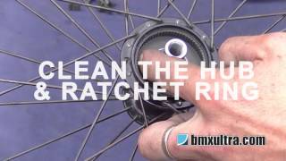 Service Profile Racing Elite Rear Hub How To [upl. by Groves782]