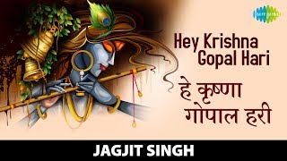 Hey Krishna Gopal Hari  हे कृष्णा गोपाल हरी  Jagjit Singh  New Bhajan And Kirtan 2022 [upl. by Suhpoelc]