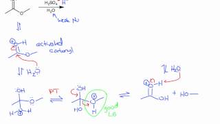 Ester Hydrolysis Acidic and Basic Conditions [upl. by Kaplan]