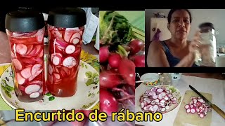 como hacer encurtido de rabanos aventurasconvera6805 🍅🍅 [upl. by Nipsirc145]