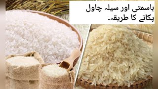 Difference between Basmati amp sela Basmati Rice by Faiza KitchenampVlogs [upl. by Spitzer]