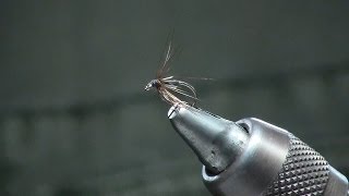 Tying a Simple and Effective Wet Fly [upl. by Nic811]