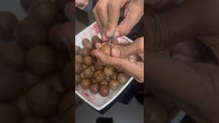 Macadamia nuts 🌰 nuts food youtubeshorts onemillion [upl. by Akerboom30]