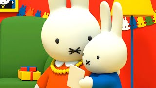 Mummys Birthday Surprise  Miffy  Full Episodes [upl. by Yremrej240]