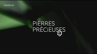 Exposition quotPierres précieusesquot [upl. by Ttelracs]